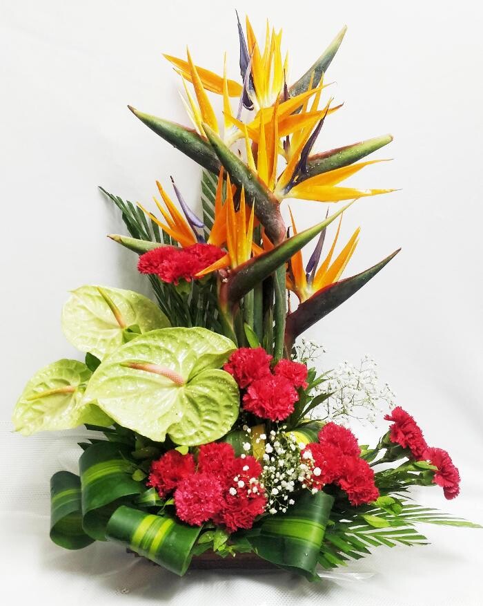 Images Hyderabad Gifts Delivery - Flower and Cake delivery Same day & Midnight