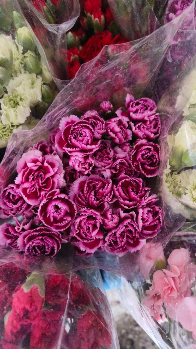 Images VJ petals - Flowers delivery in Hyderabad