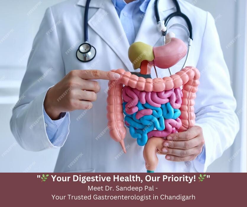 Images Dr. Sandeep Pal - Gastroenterologist in Chandigarh