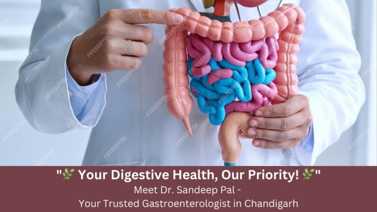 Images Dr. Sandeep Pal - Gastroenterologist in Chandigarh