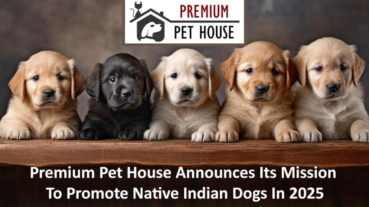 Images Premium Pet House