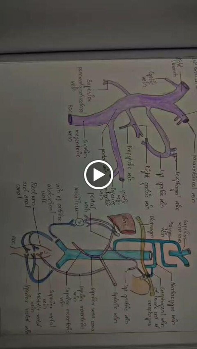 Images Swift Assignment Writing & Drawing Services | Expert Essay, Dissertation & Record Writing Help - Hyderabad & International