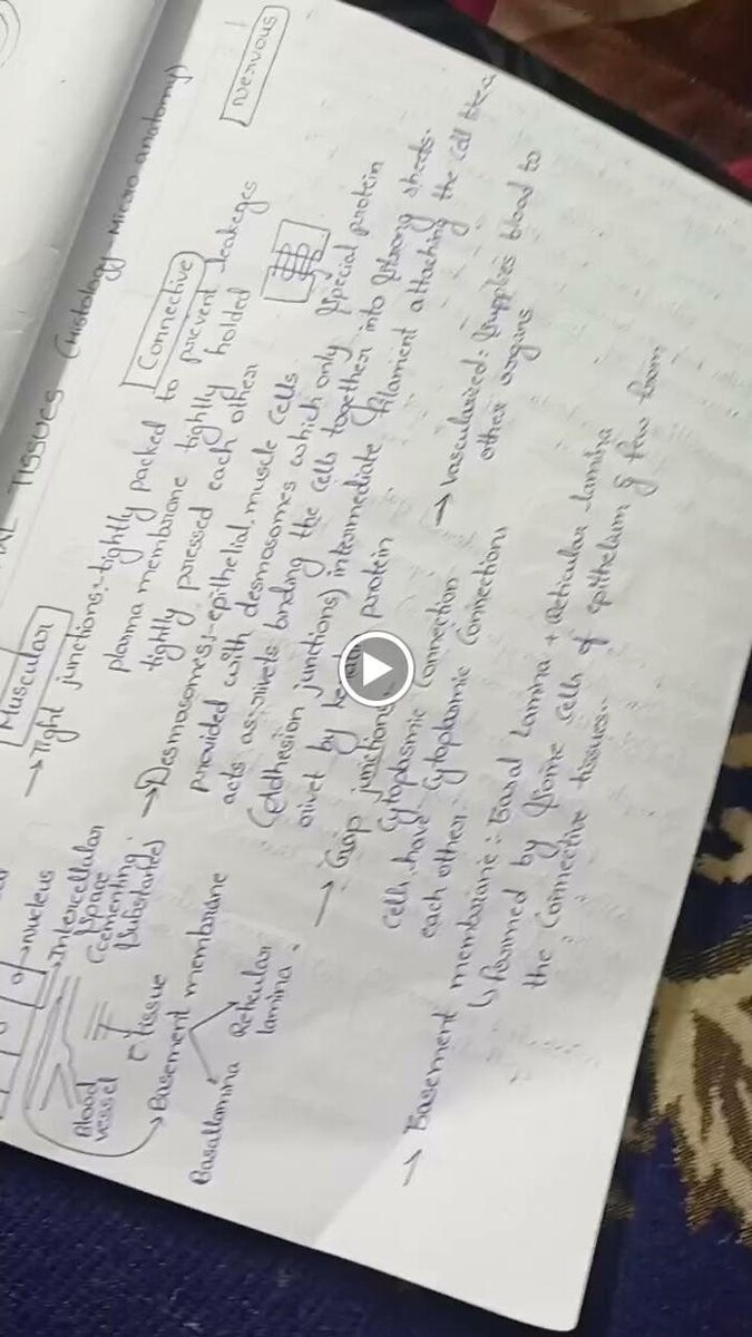 Images Swift Assignment Writing & Drawing Services | Expert Essay, Dissertation & Record Writing Help - Hyderabad & International