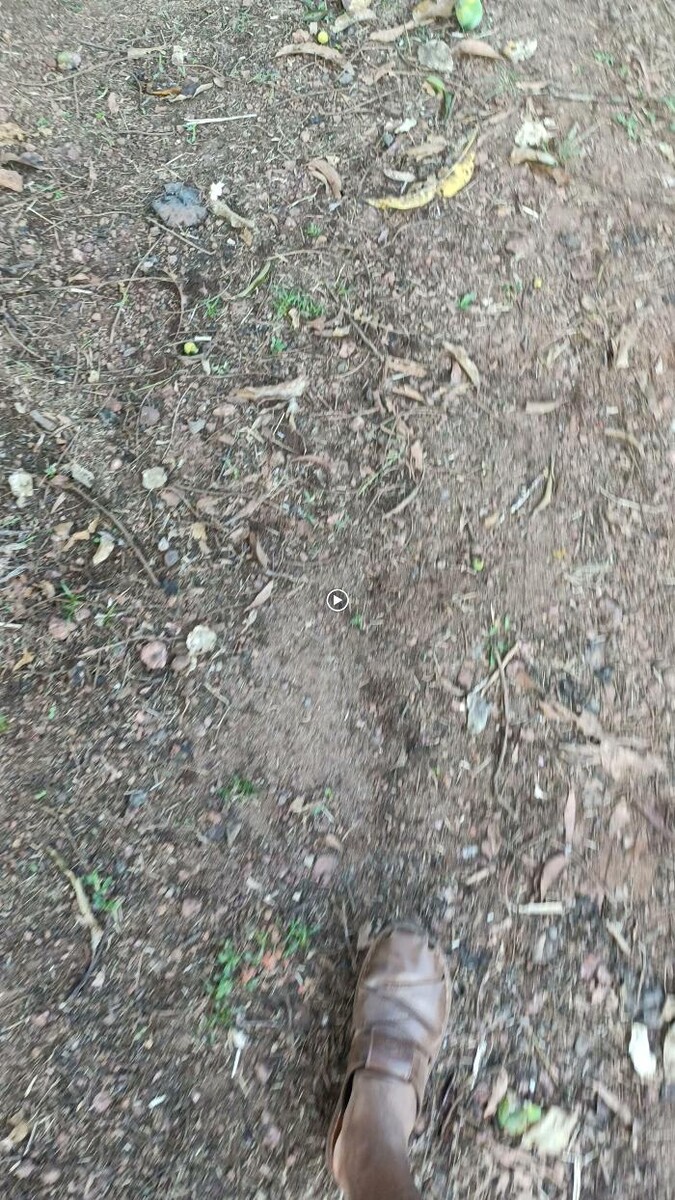 Images Mangaluru Taxi - Top Taxi Cab Service in Mangalore