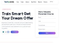 Website Screenshot TechPanda - IT Training & Placement Institute in Chennai