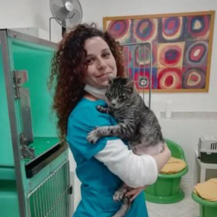 Images Centro Veterinario Maccauro