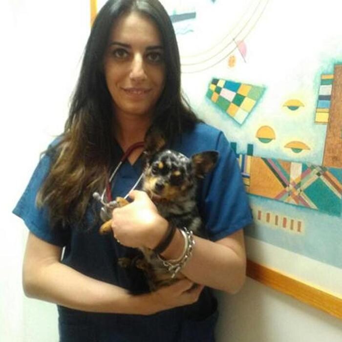 Images Centro Veterinario Maccauro