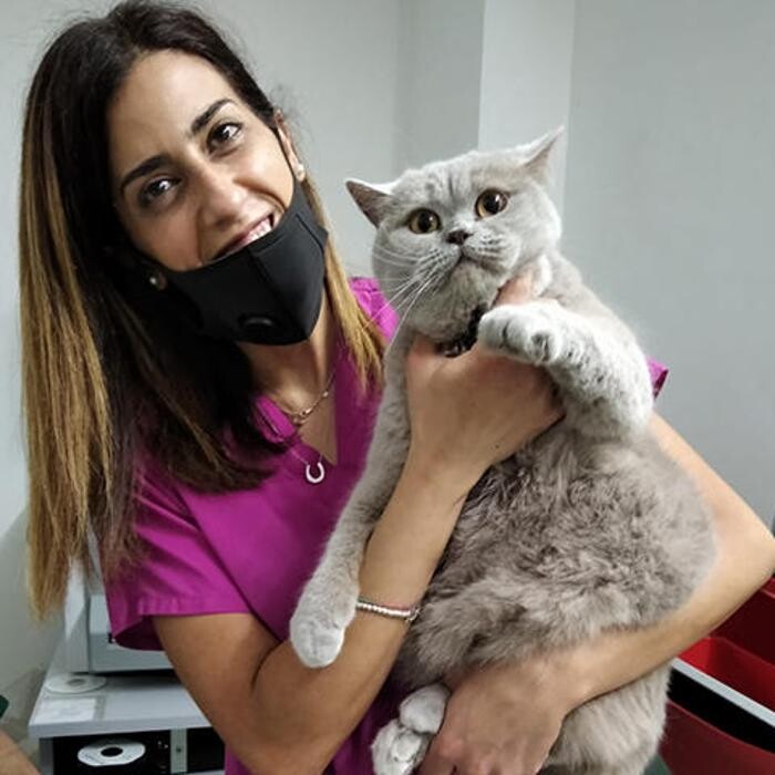 Images Centro Veterinario Maccauro