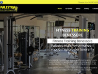 Screenshot for http://www.palestrahighperformance.com