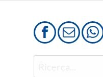 Website Screenshot Frigoespress