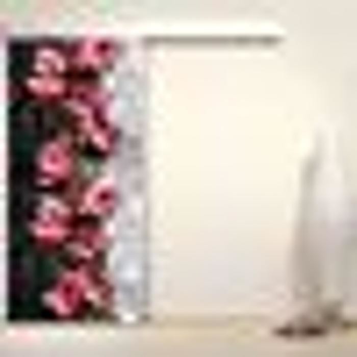 Images SP Porte e Finestre in pvc