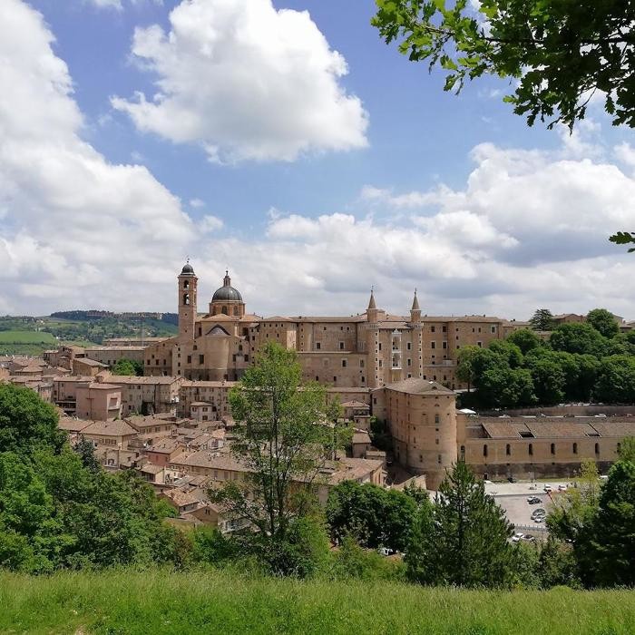 Images Guide Turistiche Urbino e Gradara