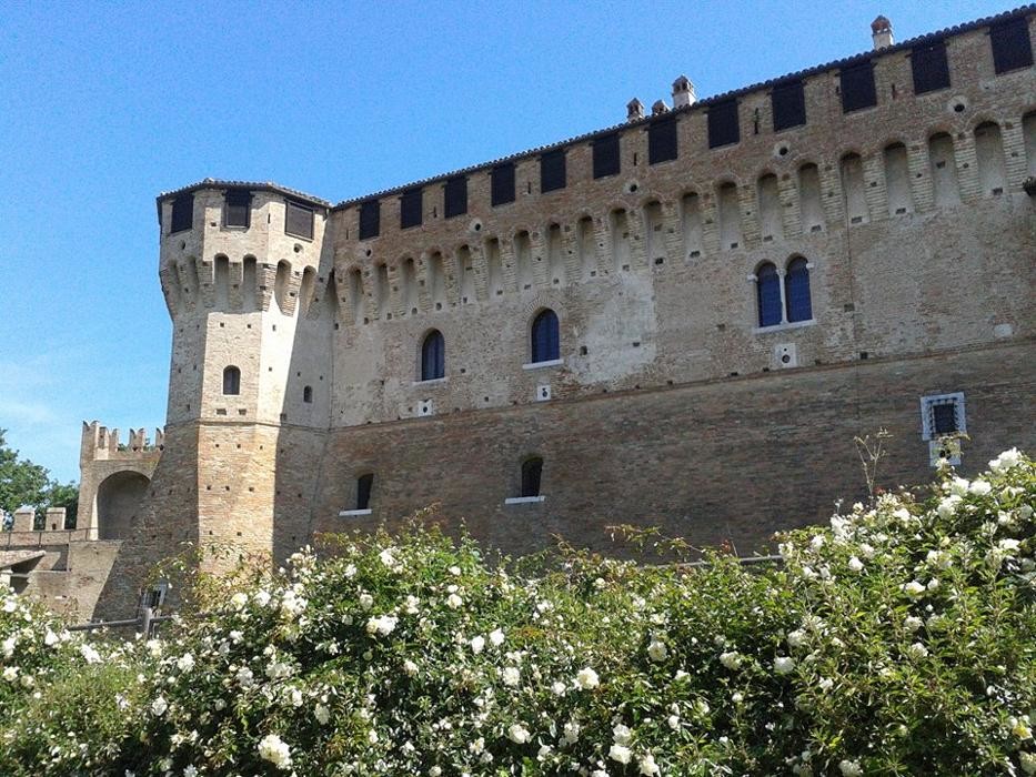 Images Guide Turistiche Urbino e Gradara