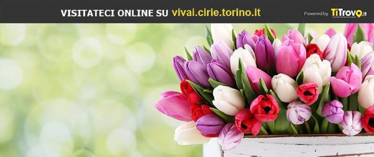Images Vivai Ronco