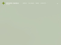 Screenshot for http://www.casolitrasporti.it