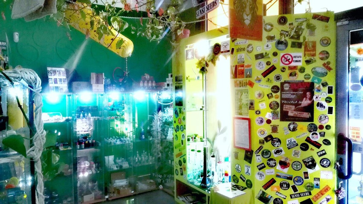 Images Green Zone Growshop Legnano