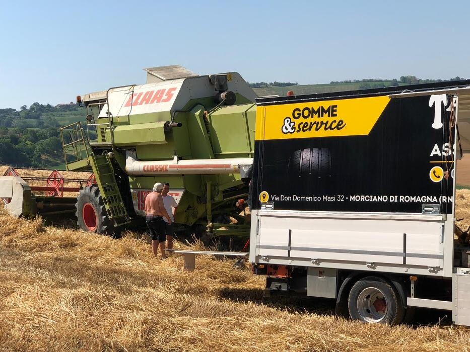 Images Euromaster Tasini Gomme