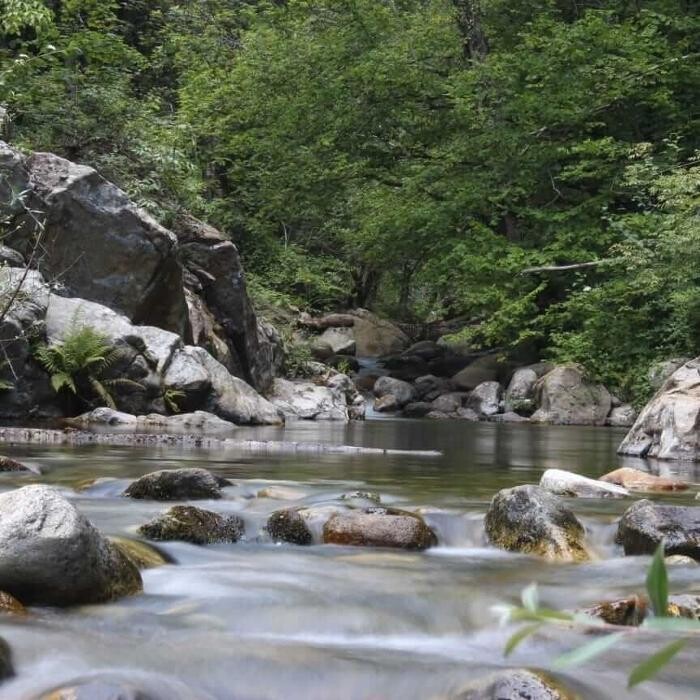 Images Discovering Presila