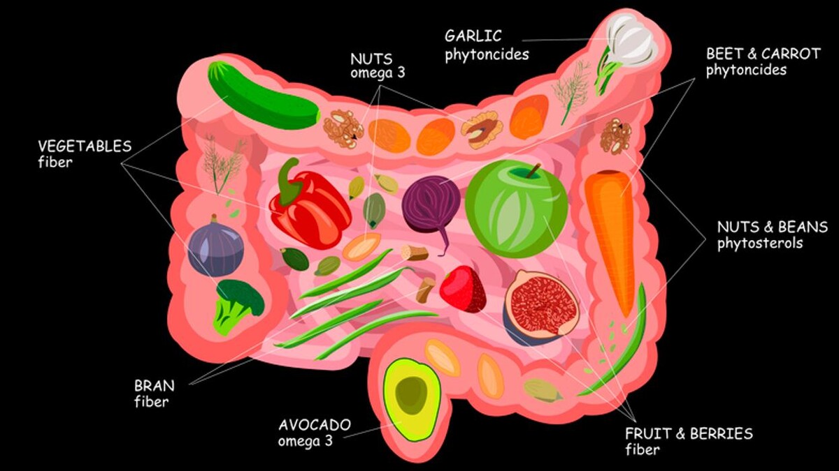 Nutrizione Funzionale Logo