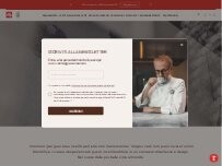 Website Screenshot illy