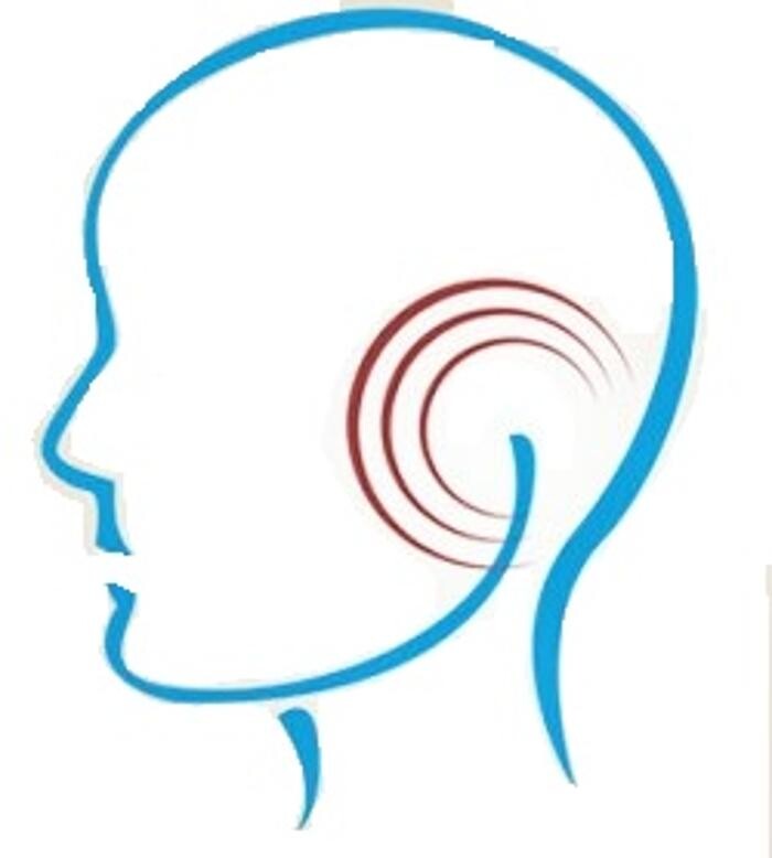 Fisioterapia Cranio Mandibolare Palmerini Logo