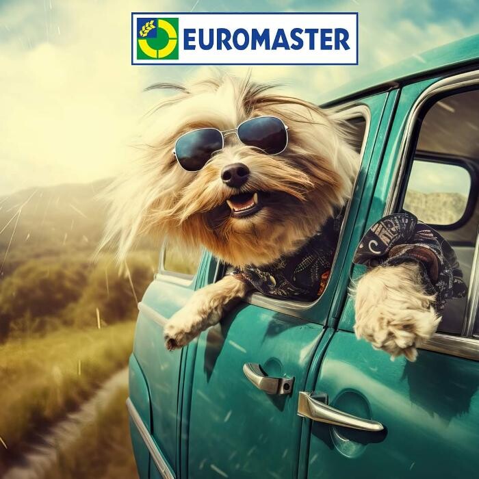 Images Euromaster Marchesano Pneumatici