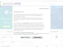 Website Screenshot Euromaster Palermo