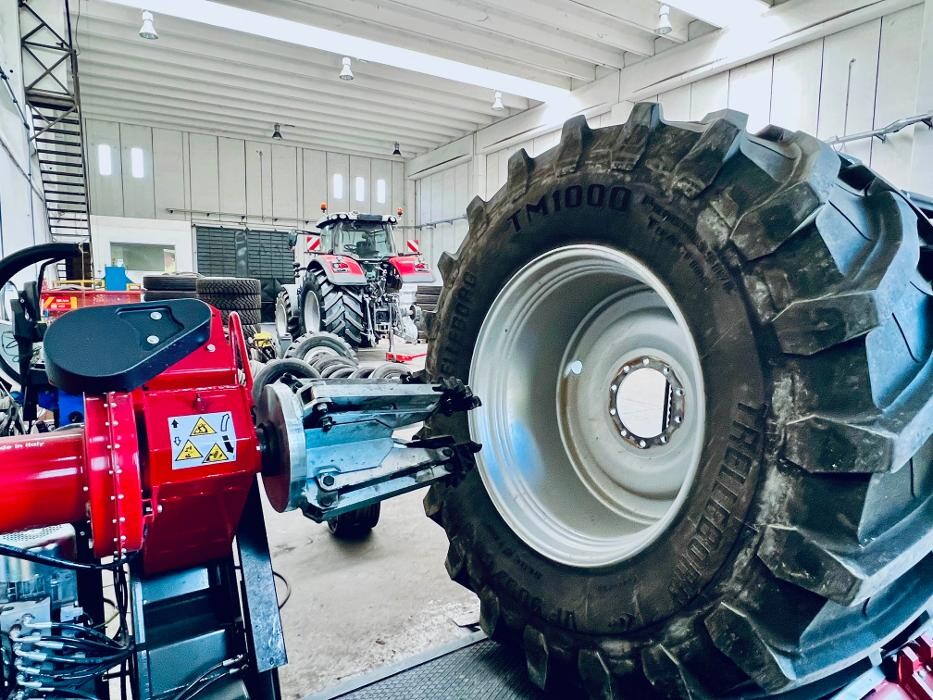 Images Euromaster Lentisco Gomme