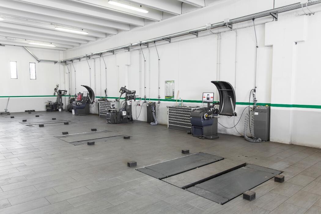 Images Euromaster Lentisco Gomme