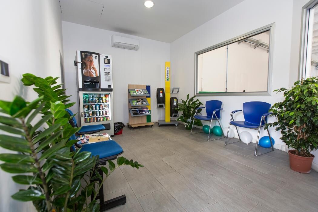 Images Euromaster Lentisco Gomme