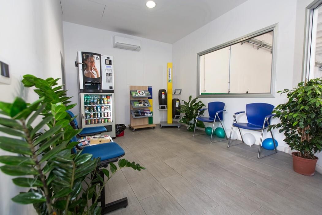 Images Euromaster Lentisco Gomme