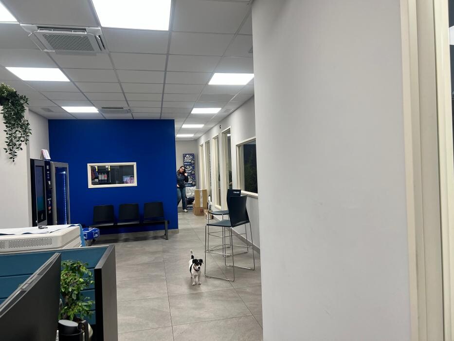 Images Euromaster Bonalumi Gomme