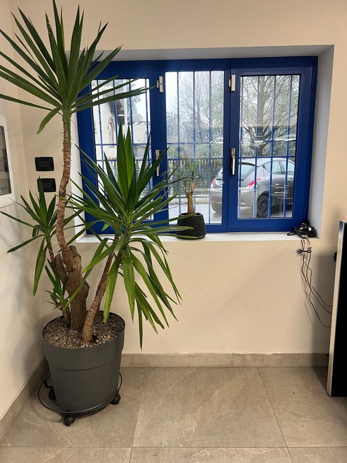 Images Euromaster Bonalumi Gomme