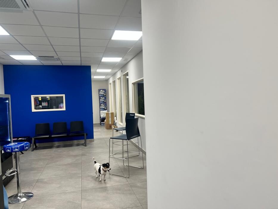 Images Euromaster Bonalumi Gomme