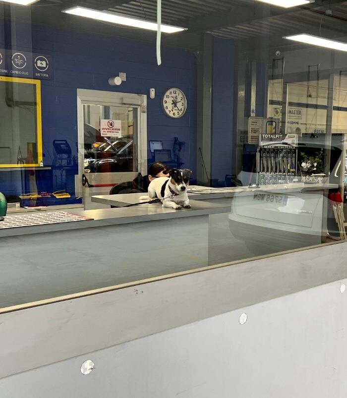 Images Euromaster Bonalumi Gomme