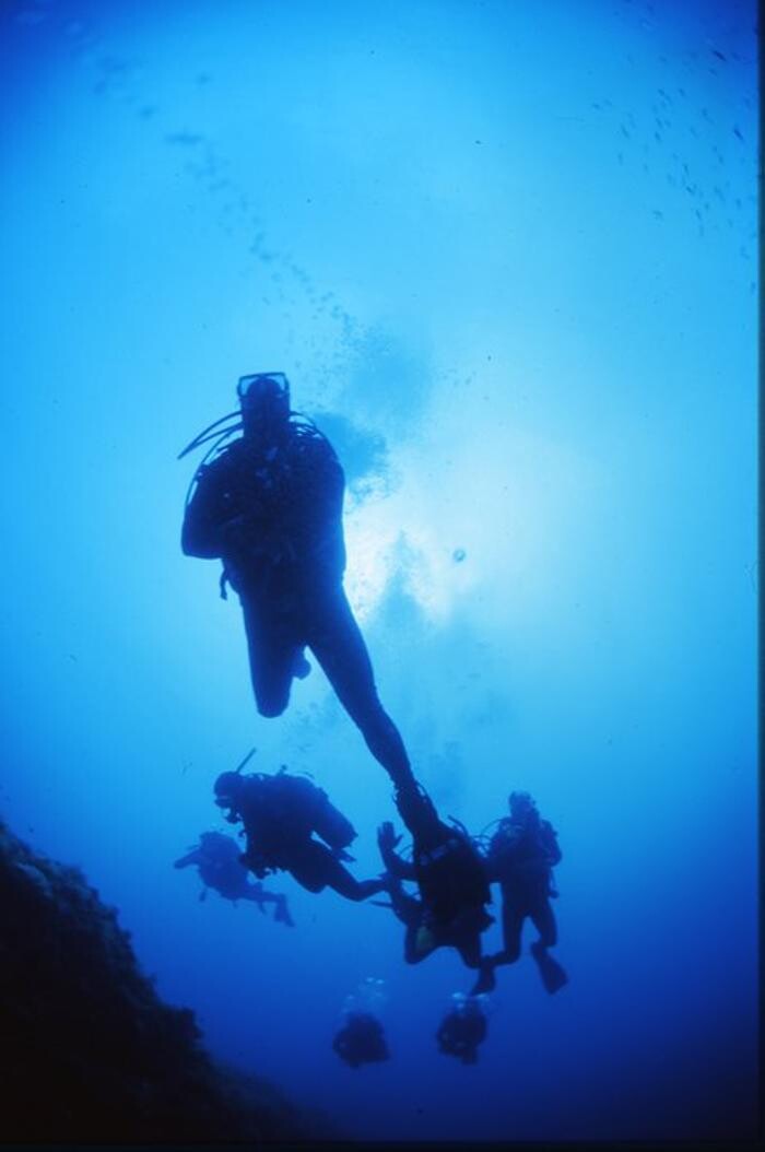 Images Domenico Rizzi