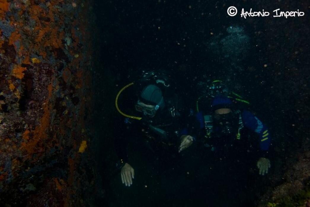 Images Domenico Rizzi