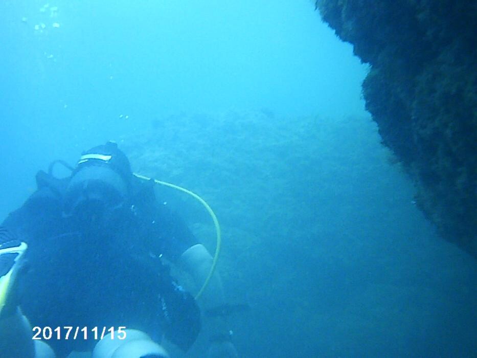 Images Domenico Rizzi