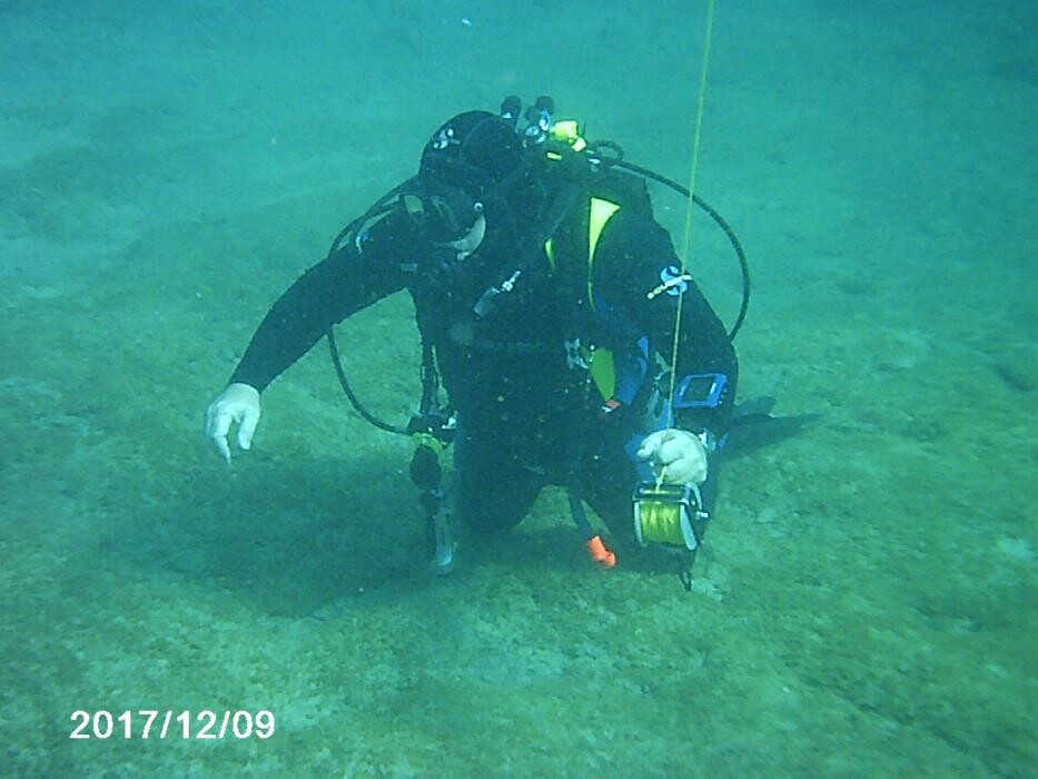 Images Domenico Rizzi