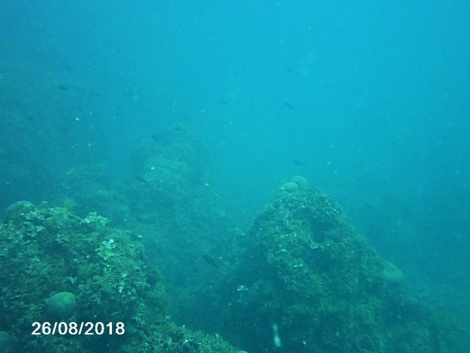 Images Domenico Rizzi