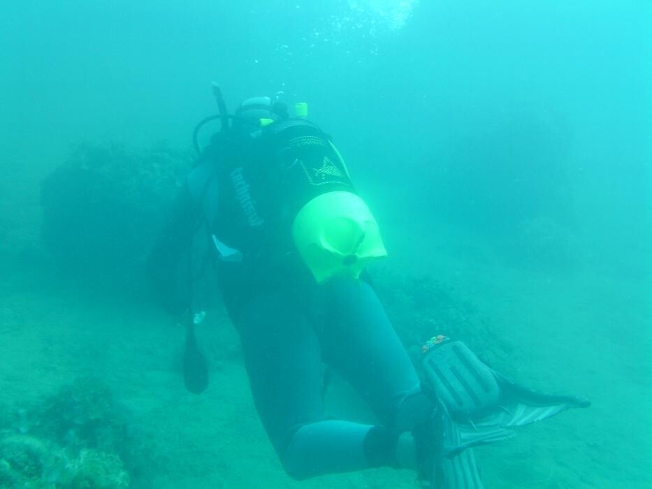 Images Domenico Rizzi