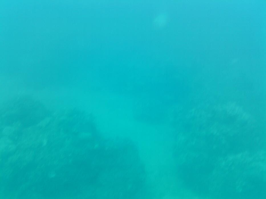 Images Domenico Rizzi