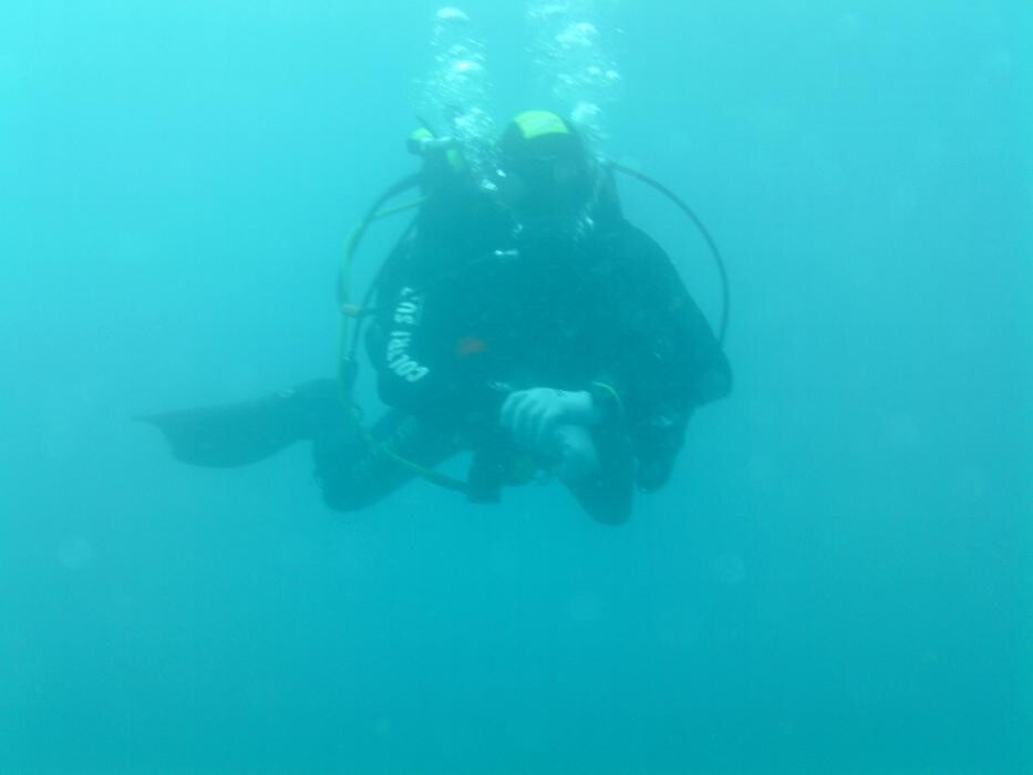 Images Domenico Rizzi