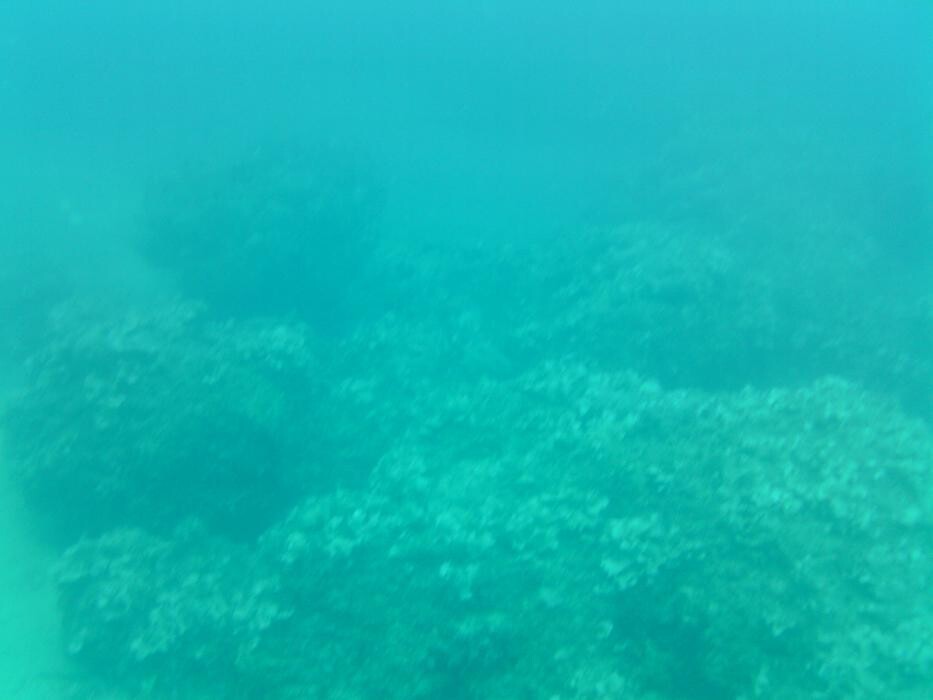 Images Domenico Rizzi