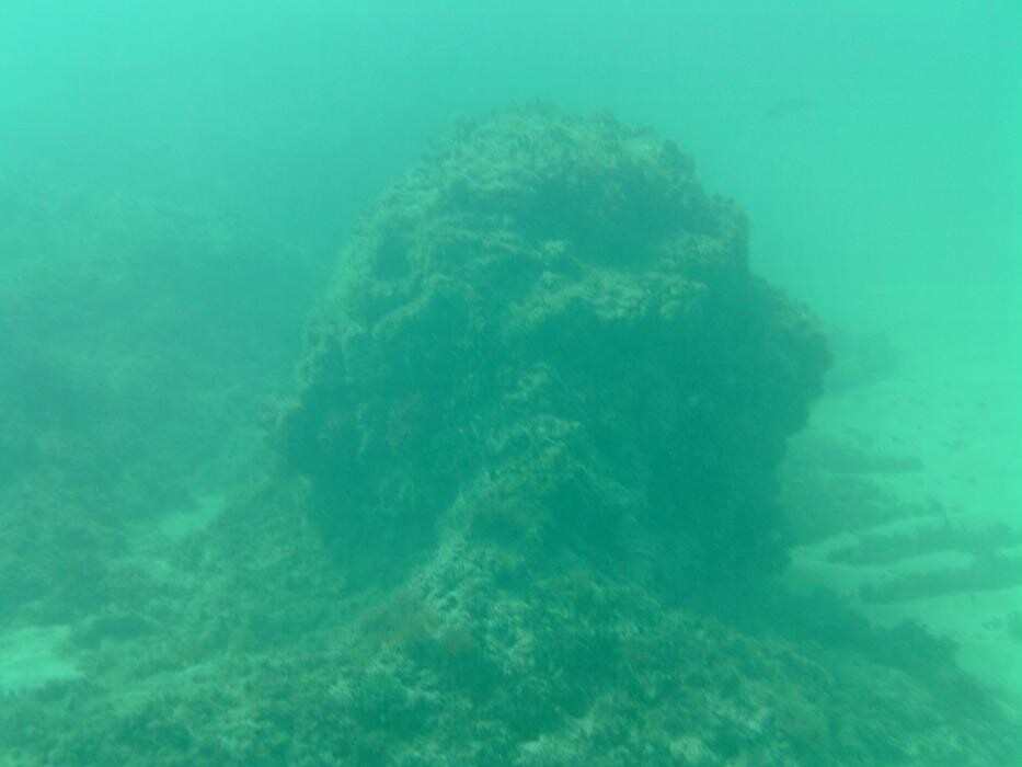 Images Domenico Rizzi