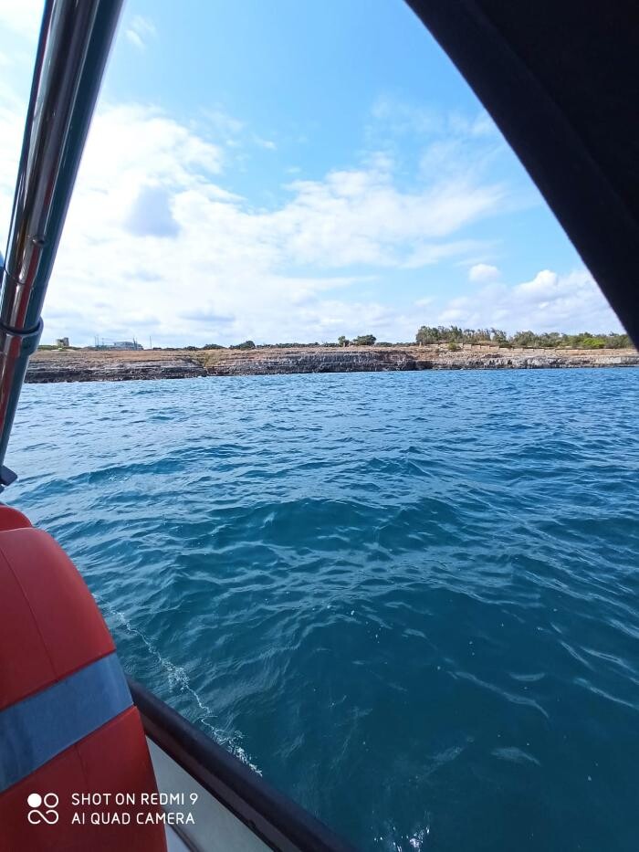 Images Domenico Rizzi