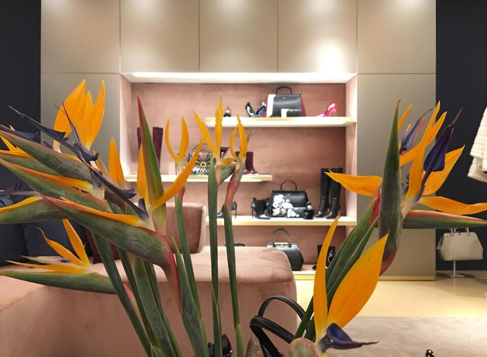 Images Vittorio Citro Boutique