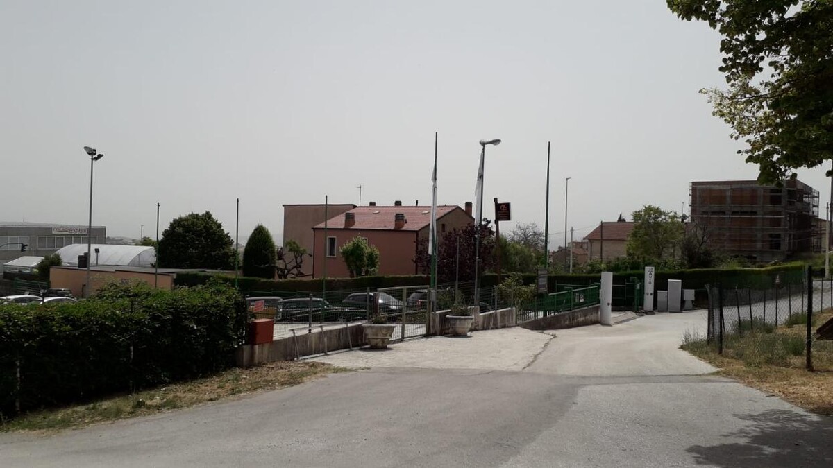 Images Candeloro Antonello