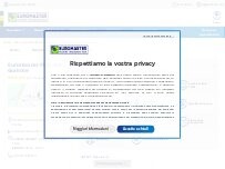 Website Screenshot Euromaster Piccinini Gomme