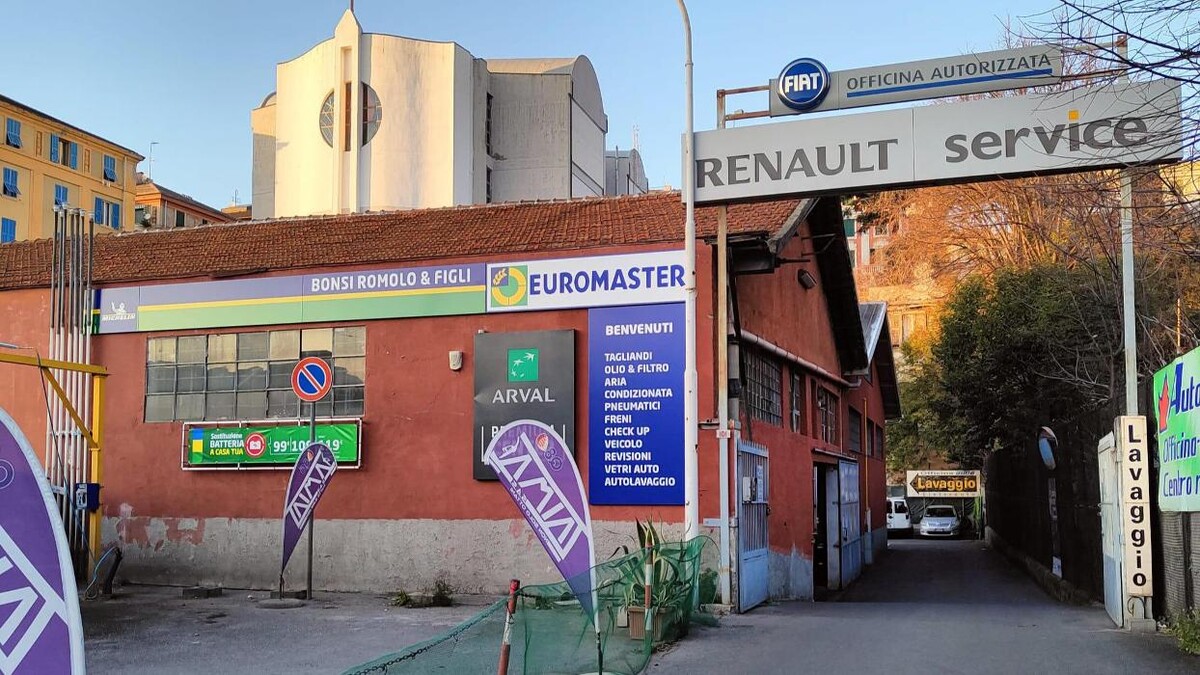 Images Euromaster Bonsi Romolo